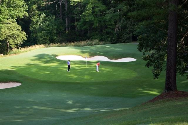 24 Mainsail Dr, Salem, SC 29676 - surrounding community with golf course view