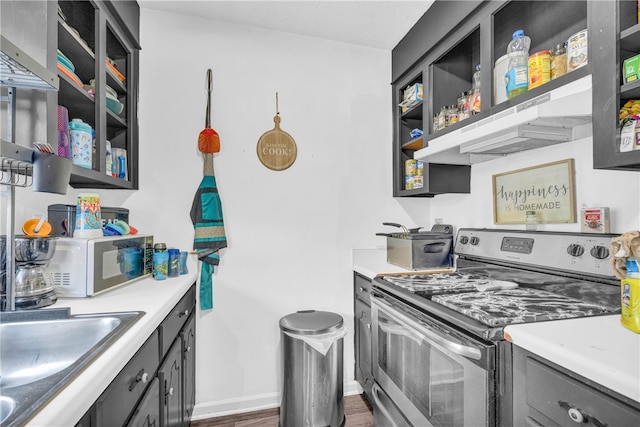 kitchen with dark wood-type flooring, sink, and stainless steel range oven