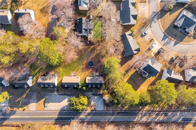 bird's eye view