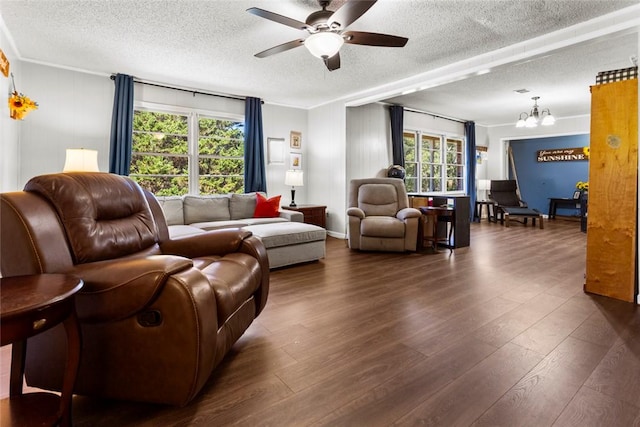 living room featuring a healthy amount of sunlight, dark hardwood / wood-style floors, ceiling fan with notable chandelier, and a textured ceiling