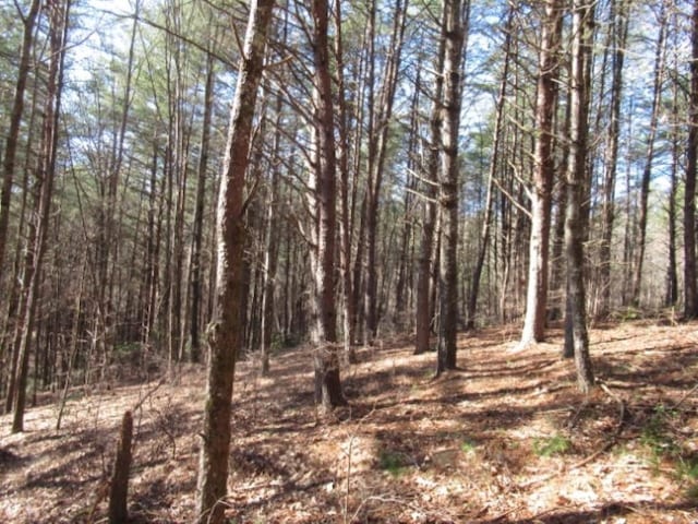 LOT10 Sweet Shrub Ct, Sunset, SC 29685 - photo 1