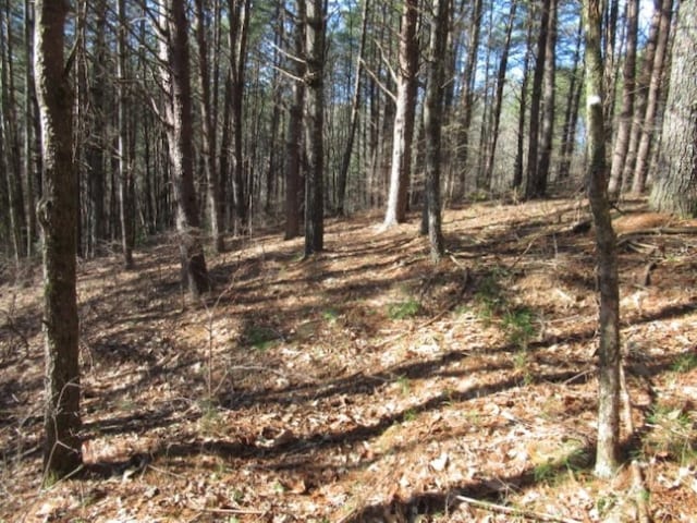 LOT10 Sweet Shrub Ct, Sunset, SC 29685 - photo 2
