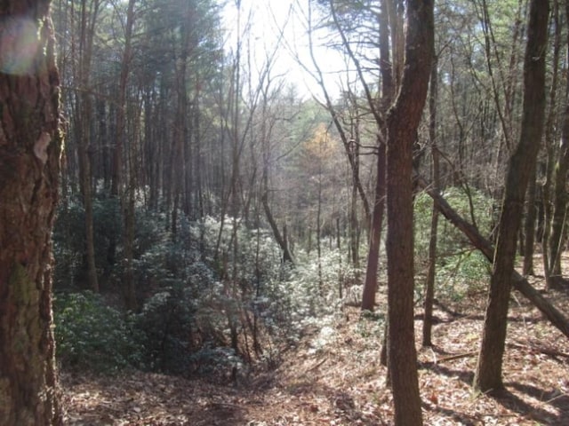 LOT10 Sweet Shrub Ct, Sunset, SC 29685 - photo 3