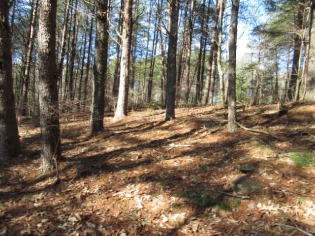 LOT10 Sweet Shrub Ct, Sunset, SC 29685 - photo 4