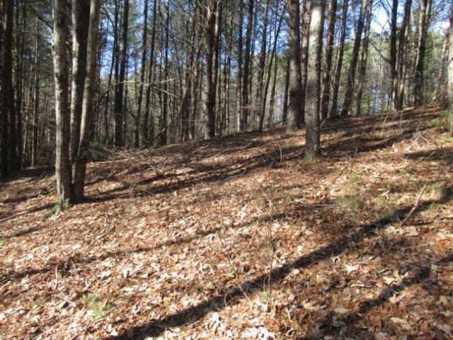 LOT10 Sweet Shrub Ct, Sunset, SC 29685 - photo 5