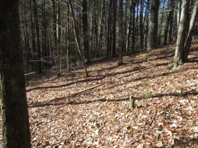 LOT10 Sweet Shrub Ct, Sunset, SC 29685 - photo 7