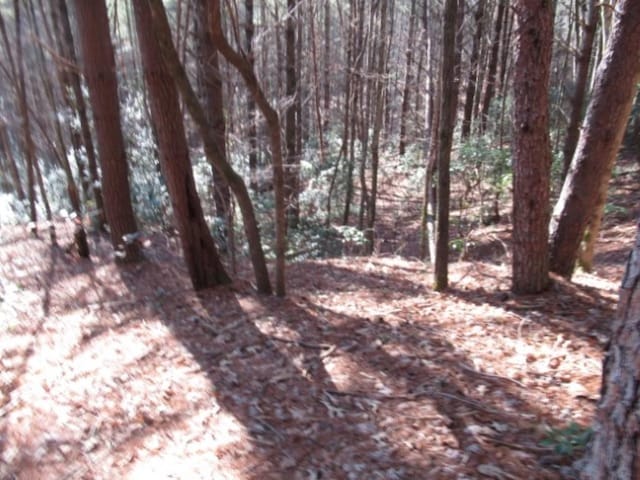 LOT10 Sweet Shrub Ct, Sunset, SC 29685 - photo 10