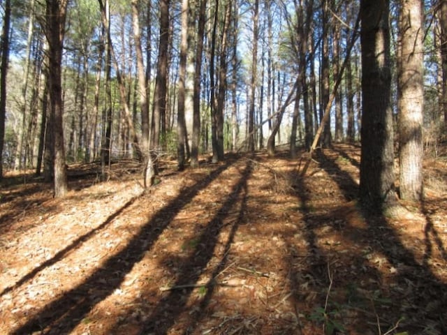 LOT10 Sweet Shrub Ct, Sunset, SC 29685 - photo 11