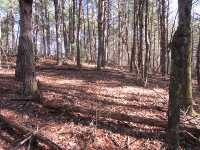 LOT10 Sweet Shrub Ct, Sunset, SC 29685 - photo 13
