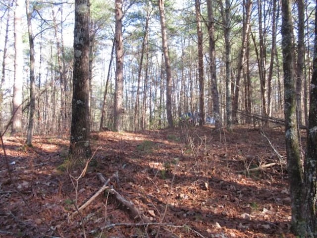 LOT10 Sweet Shrub Ct, Sunset, SC 29685 - photo 14