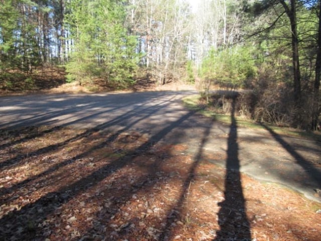 LOT10 Sweet Shrub Ct, Sunset, SC 29685 - photo 15