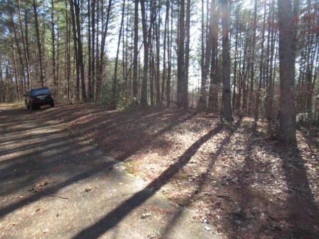 LOT10 Sweet Shrub Ct, Sunset, SC 29685 - photo 16