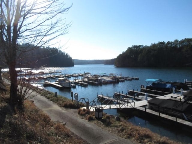 LOT10 Sweet Shrub Ct, Sunset, SC 29685 - photo 18