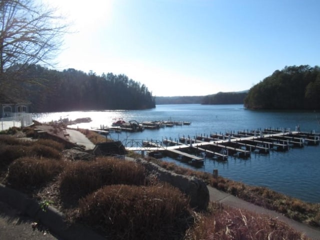 LOT10 Sweet Shrub Ct, Sunset, SC 29685 - photo 19