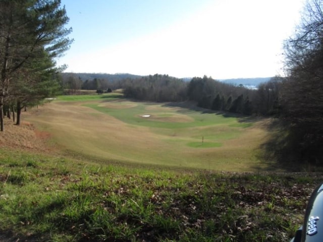 LOT10 Sweet Shrub Ct, Sunset, SC 29685 - photo 20