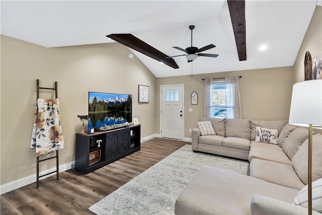 living room with lofted ceiling with beams, dark hardwood / wood-style floors, and ceiling fan