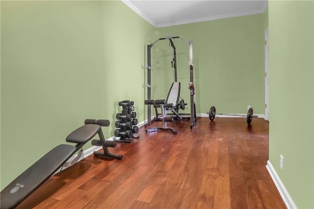 workout area featuring hardwood / wood-style flooring and crown molding