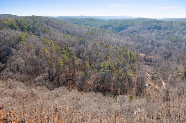 view of mountain feature