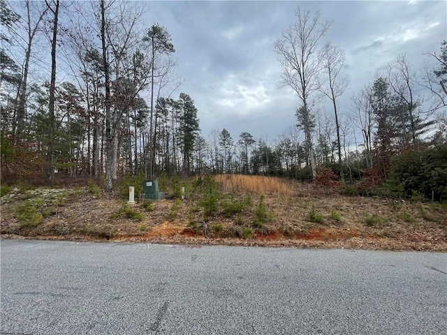 438 Falcons Lair W Dr, Walhalla SC, 29691 land for sale