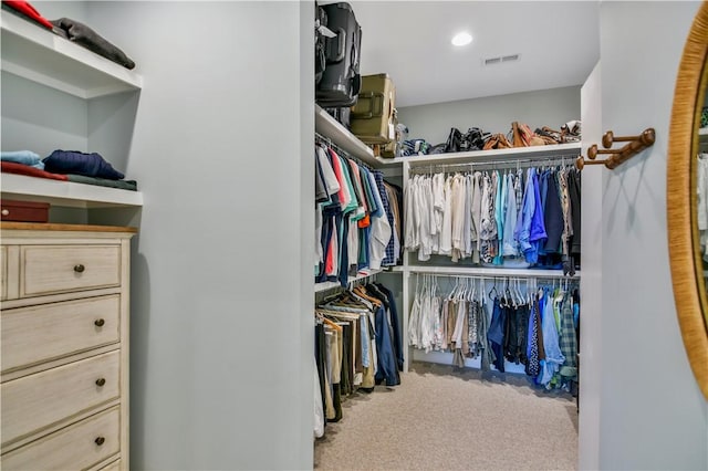 spacious closet featuring carpet floors