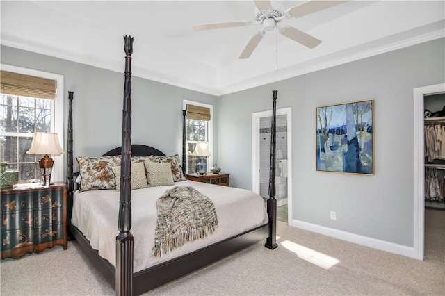 carpeted bedroom featuring a spacious closet, ornamental molding, a closet, and ceiling fan