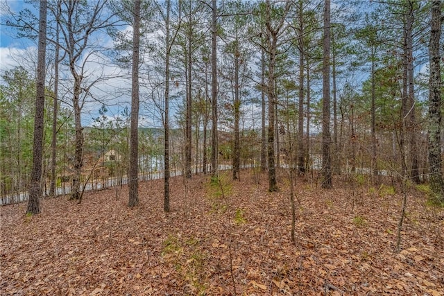 335 Long Cove Trl, Salem SC, 29676 land for sale