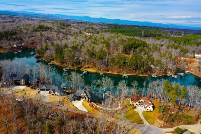 drone / aerial view featuring a water and mountain view