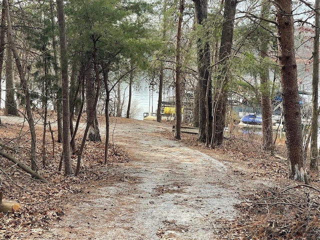 view of street with a water view