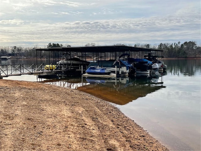 dock area with a water view