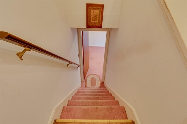 stairs featuring carpet flooring