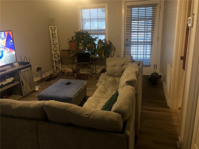 living room featuring wood-type flooring