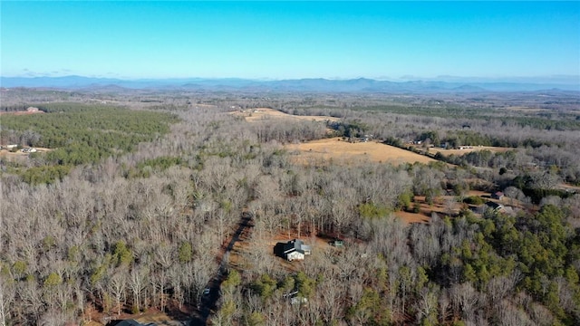 birds eye view of property featuring a mountain view