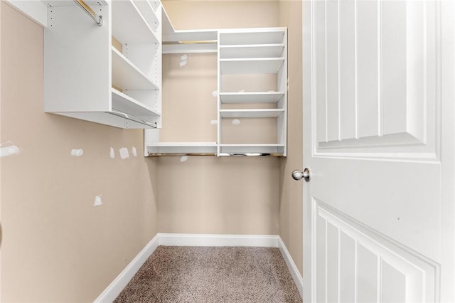 spacious closet featuring carpet flooring