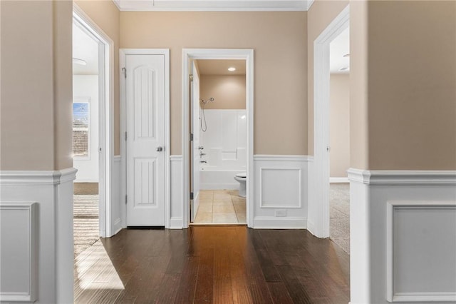 hallway featuring ornamental molding and dark hardwood / wood-style flooring