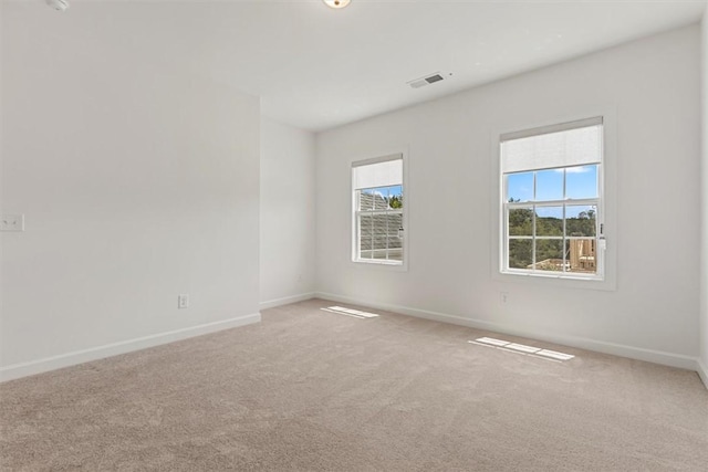 spare room featuring carpet and a wealth of natural light