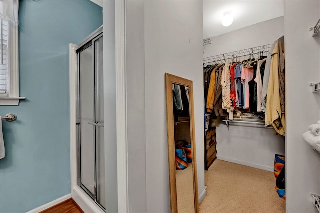 bathroom featuring a shower with shower door