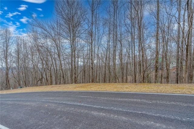 153 Catnip Trl, Landrum SC, 29356 land for sale