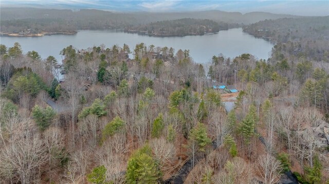 00 Black Eyed Susan Ln, Sunset, SC 29685