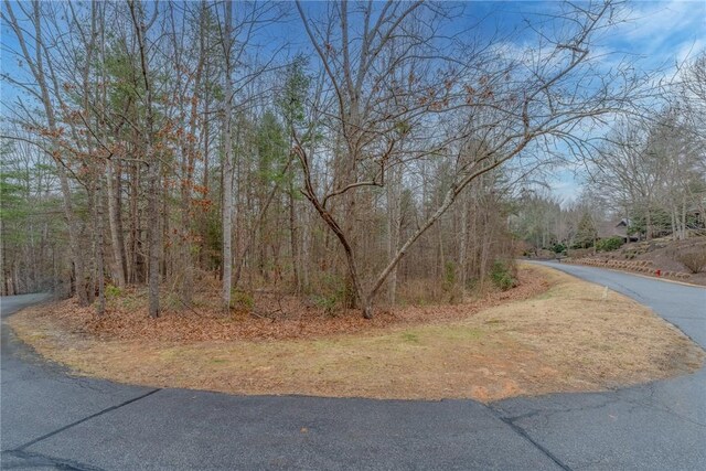 00 Black Eyed Susan Ln, Sunset, SC 29685