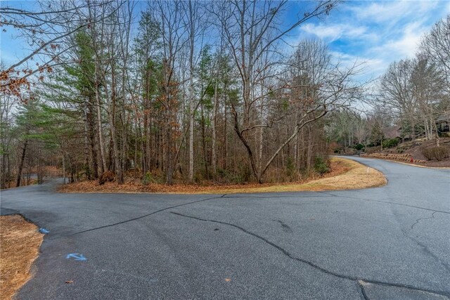 00 Black Eyed Susan Ln, Sunset, SC 29685
