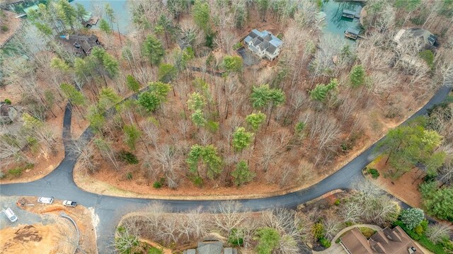 00 Black Eyed Susan Ln, Sunset, SC 29685