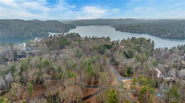 00 Black Eyed Susan Ln, Sunset, SC 29685