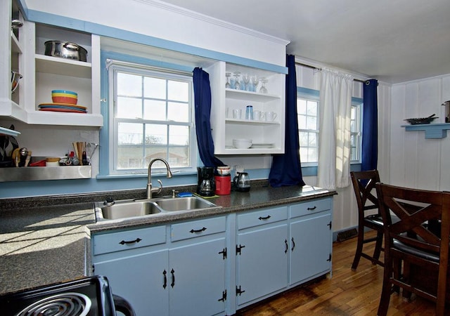 kitchen with stove, sink, and dark hardwood / wood-style floors