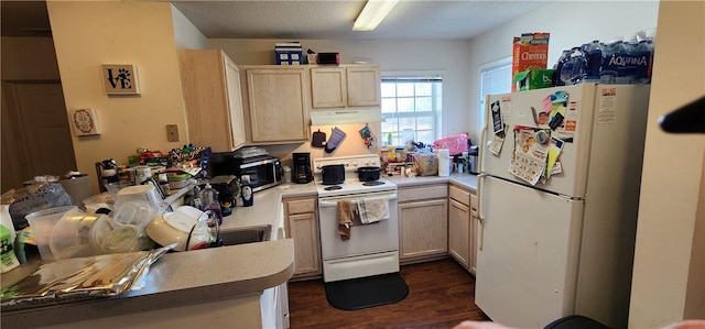 kitchen with dark hardwood / wood-style floors, light brown cabinets, and white appliances