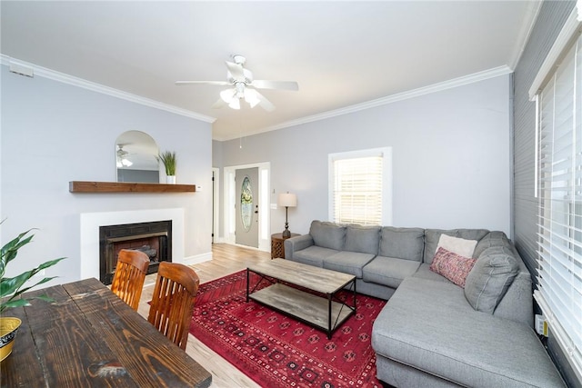 living room featuring crown molding, hardwood / wood-style floors, and ceiling fan