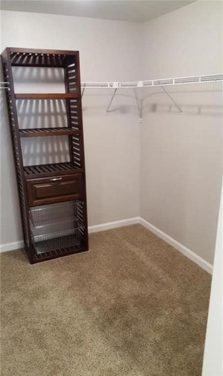 walk in closet with carpet floors