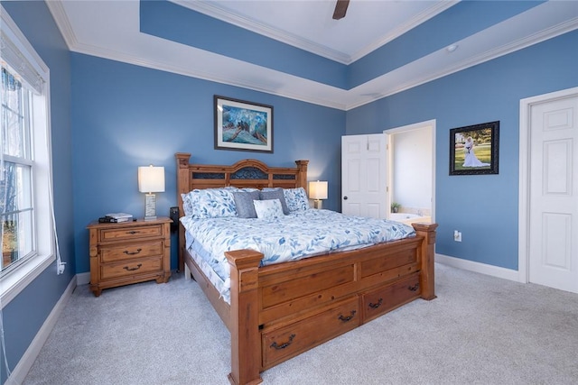 bedroom featuring light colored carpet, a raised ceiling, and multiple windows