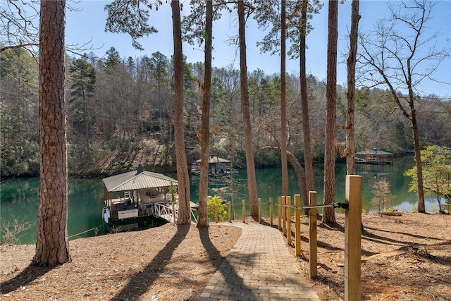 800 Mirror Lake Ct, Salem, SC 29676 - exterior space featuring a boat dock