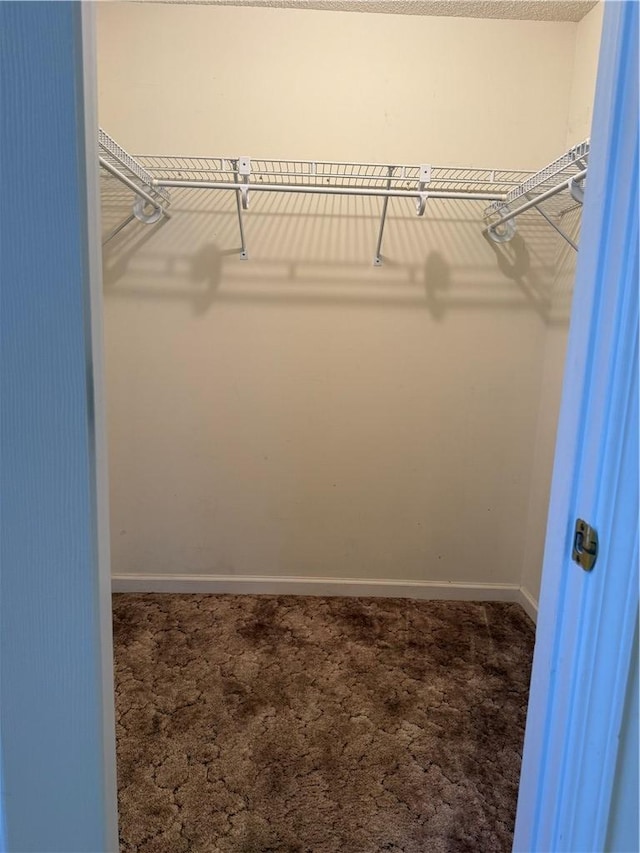 spacious closet with dark colored carpet