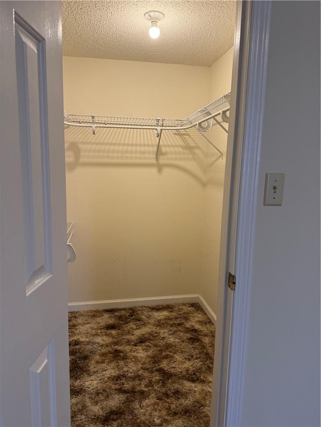 spacious closet featuring carpet flooring